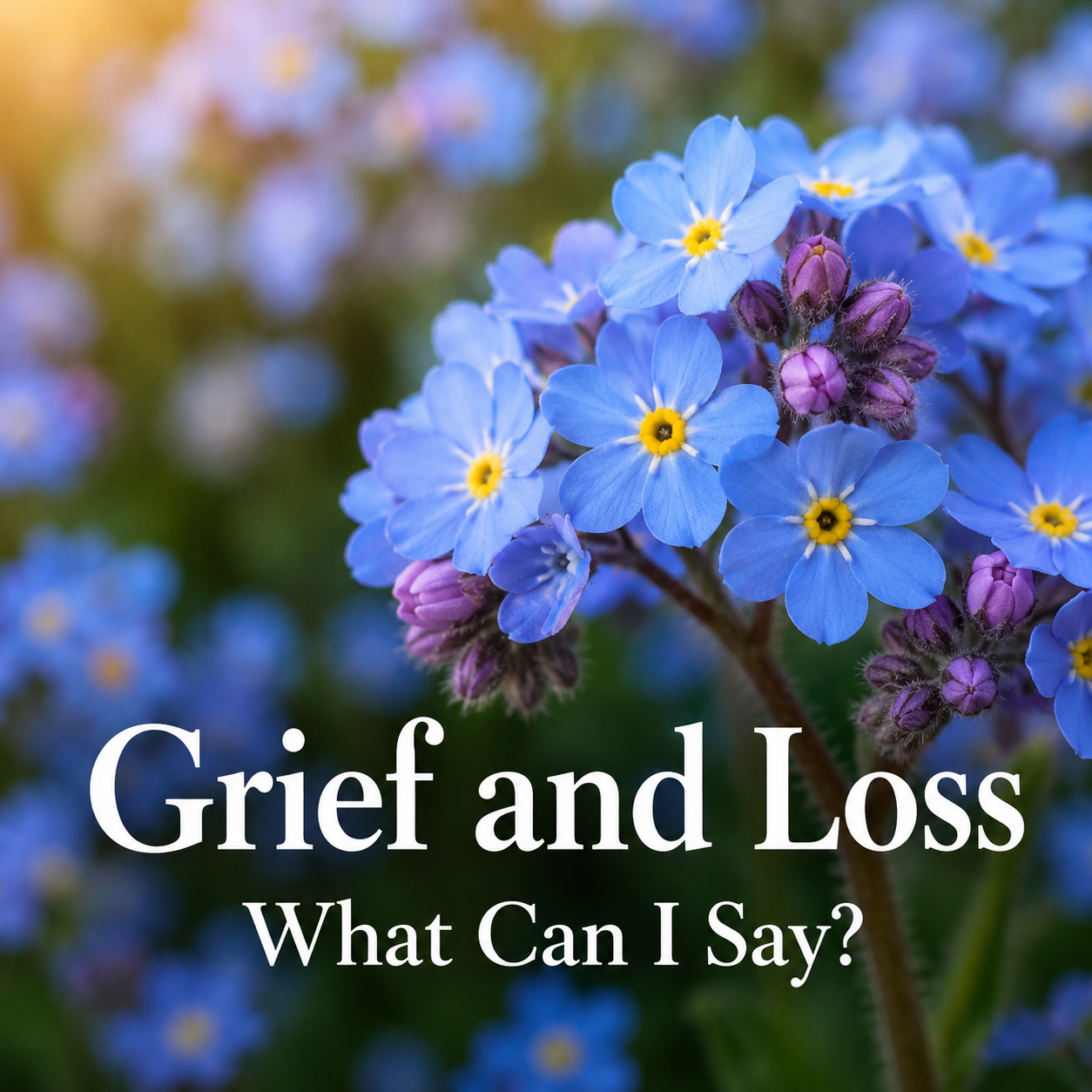 Grief and Loss – What Can I Say?